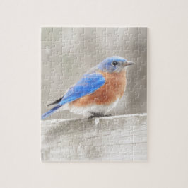 Male Östra Bluebird Pussel