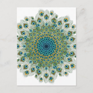 Male Peacock Colorful Mandala Vykort