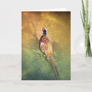 Male Pheasanthälsningkort Kort