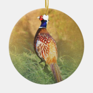 Male Pheasantprydnad Julgransprydnad Keramik