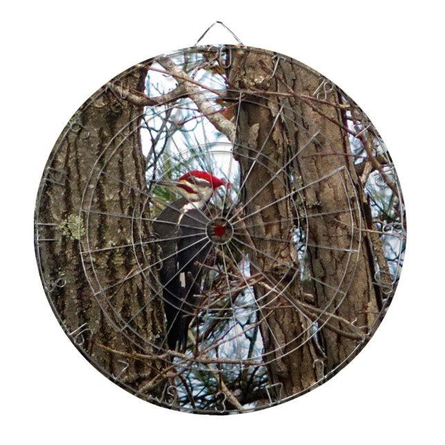 Male Pileated Woodpecker Darttavla (Framsidan)