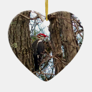Male Pileated Woodpecker Julgransprydnad Keramik