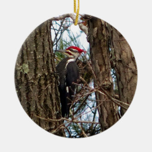 Male Pileated Woodpecker Julgransprydnad Keramik