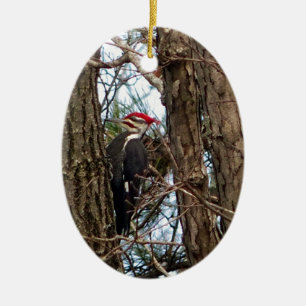 Male Pileated Woodpecker Julgransprydnad Keramik