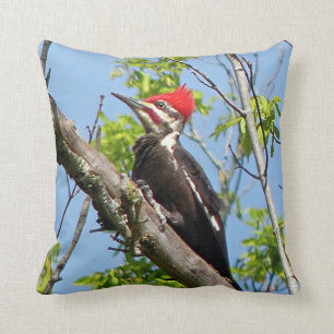 Male Pileated Woodpecker Kudde