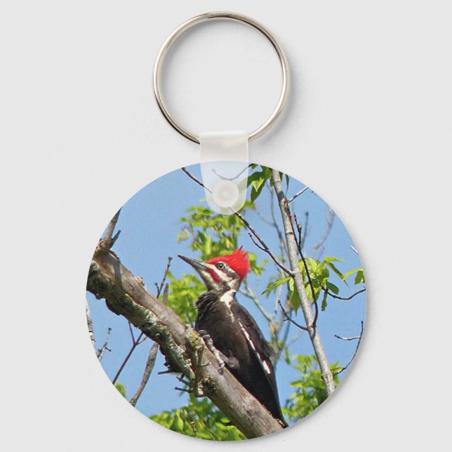 Male Pileated Woodpecker Nyckelring (Framsida)