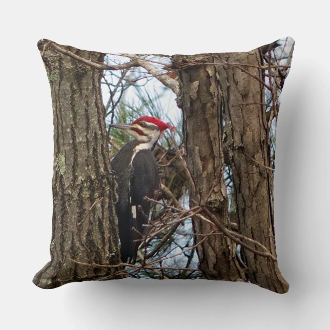 Male Pileated Woodpecker Pillow Kudde (Framsida)