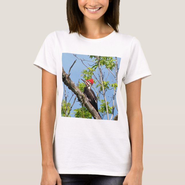 Male Pileated Woodpecker T Shirt (Framsida)