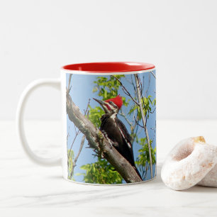 Male Pileated Woodpecker Två-Tonad Mugg