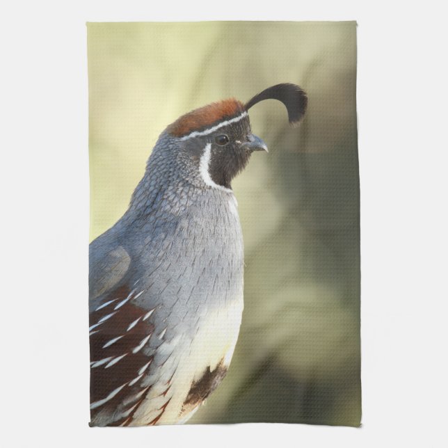 Male Quail Kökshandduk (Vertikal)