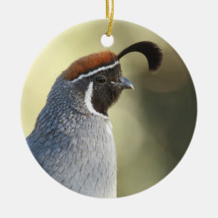 Male Quail Porträtt Julgransprydnad Keramik