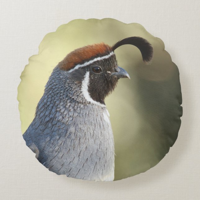 Male Quail Porträtt Rund Kudde (Framsidan)