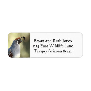 Male Quail Returadress Etikett