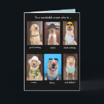 Male Relative Funny Dogs Birthday Card Kort<br><div class="desc">En lustig födelsedag för en speciell manlig släkting. Framsidan har publicerats tidigare, men insidan är ny. Du kan anpassa texten, typsnitt, teckensnittet storlekt och teckensnittet färg. Bakgrunden på insidan är offentlig domän av en statlig anställd. På framsidan är stilig Moses. Hundarna innanför innefattar på den yttersta lämnat min Suzy och...</div>