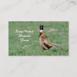 Male ring hånglad pheasant visitkort