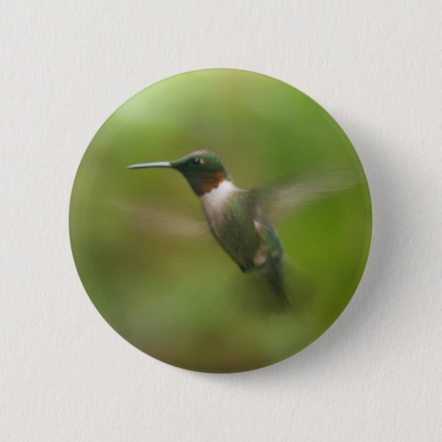 Male Ruby Throat Hummingbird Button Knapp (Framsida)