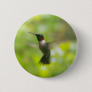 Male Ruby Throat Hummingbird Button Knapp