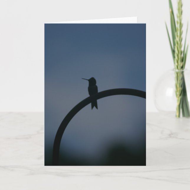 Male Ruby Throat Hummingbird Card Kort (Framsida)
