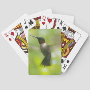 Male Ruby Throat Hummingbird Casinokort