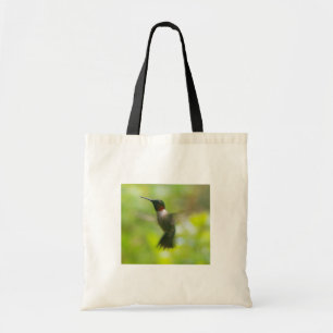 Male Ruby Throat Hummingbird Tygkasse