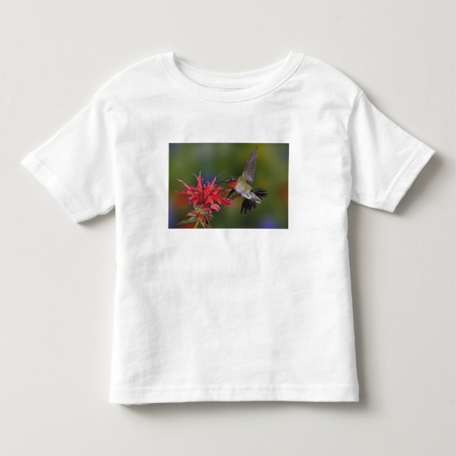 Male Ruby-throated Hummingbird T Shirt (Framsida)