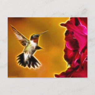 Male Ruby-throated Hummingbird Vykort