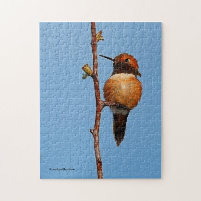 Male Rufous Hummingbird in the Spotlight Pussel (Vertikal)