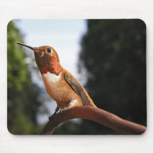 Male Rufous Hummingbird - Mousepad Musmatta