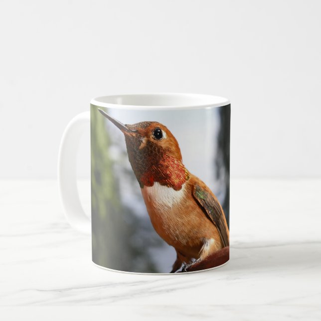 Male Rufous Hummingbird - Mugg (Framsida vänster)