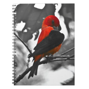 Male Scarlet Tanager Anteckningsbok Med Spiral