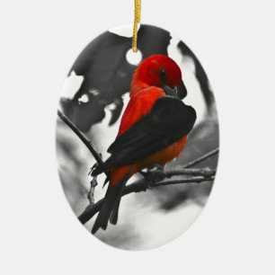 Male Scarlet Tanager Julgransprydnad Keramik