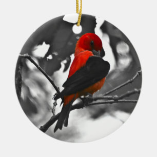 Male Scarlet Tanager Julgransprydnad Keramik