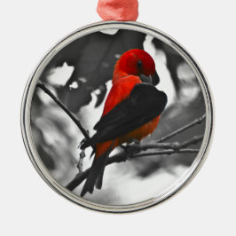 Male Scarlet Tanager Julgransprydnad Metall