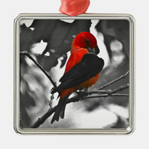 Male Scarlet Tanager Julgransprydnad Metall