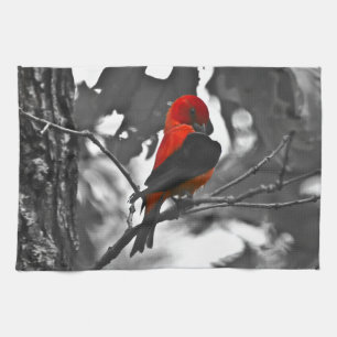 Male Scarlet Tanager Kökshandduk