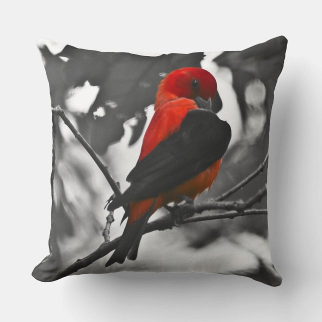 Male Scarlet Tanager Kudde (Framsida)