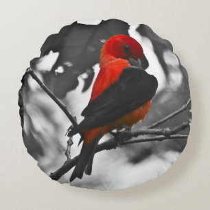 Male Scarlet Tanager Rund Kudde