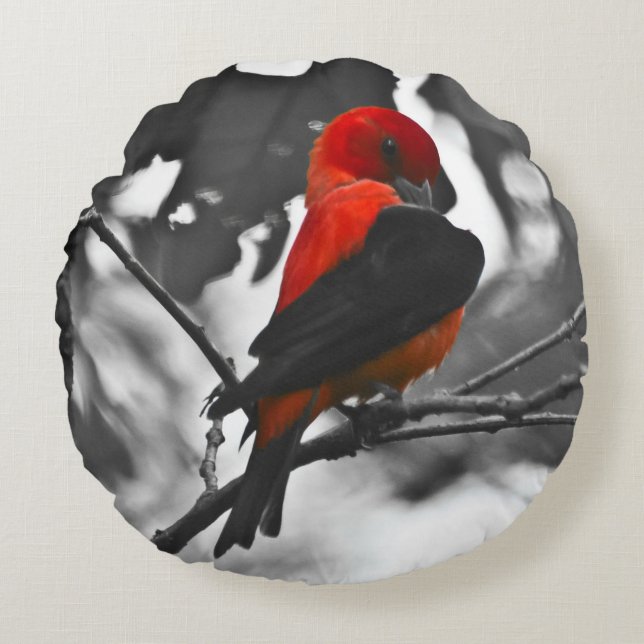 Male Scarlet Tanager Rund Kudde (Framsidan)