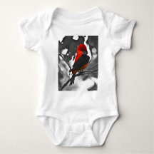 Male Scarlet Tanager