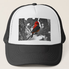 Male Scarlet Tanager Truckerkeps