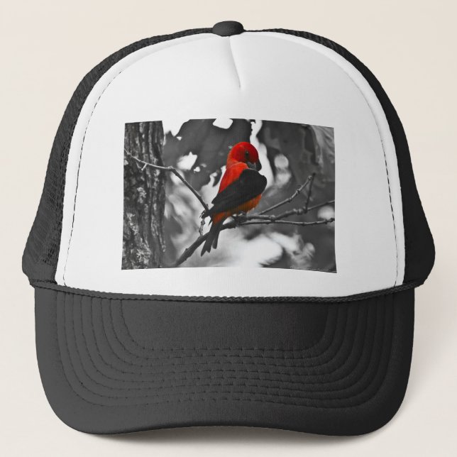 Male Scarlet Tanager Truckerkeps (Framsida)