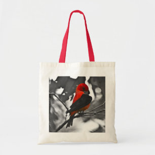 Male Scarlet Tanager Tygkasse