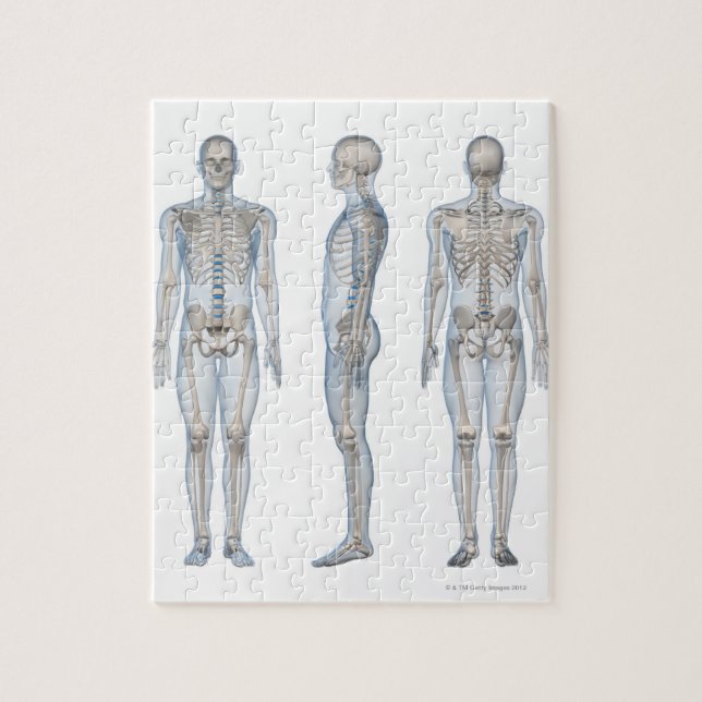 Male Skeleton 2 Pussel (Vertikal)