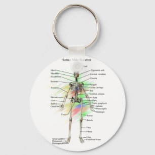 Male skelett- nyckelring för människa