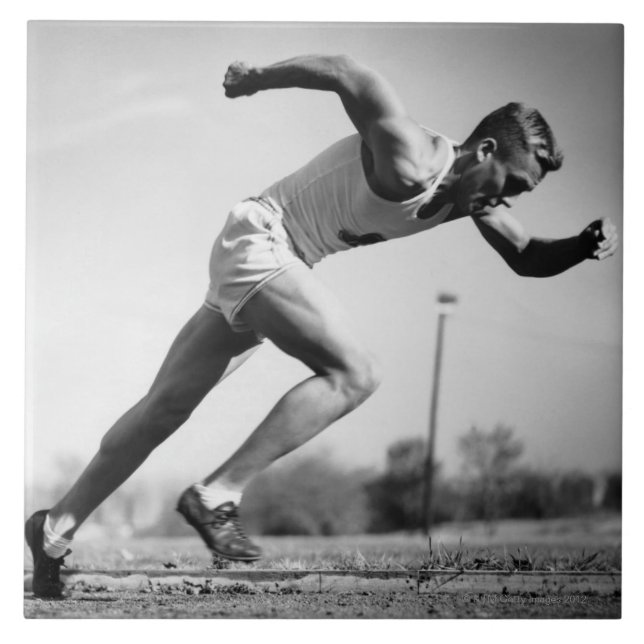 Male springer kakelplatta (Framsidan)