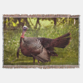 Male Tom Turkey Visa fjädrar Filt