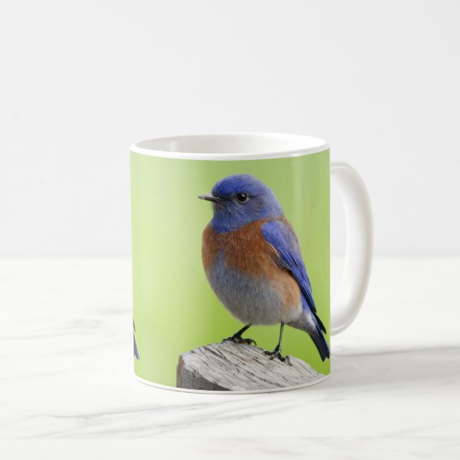 Male Western Bluebird Mugg (Framsida höger)