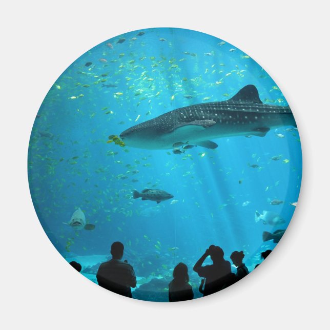 Male Whale Shark i Georgia Aquarium Magnet (Framsidan)