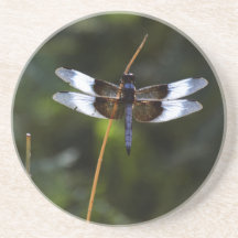 Male Widow Skimmer Dragonfly
