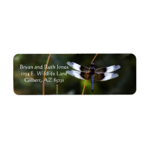Male Widow Skimmer Returadress Etikett